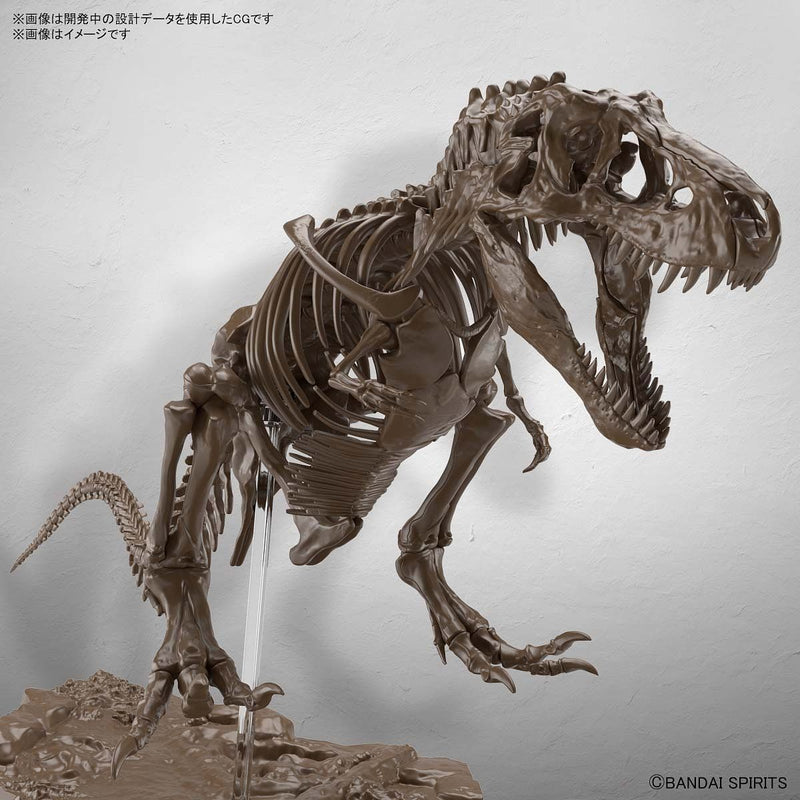 Load image into Gallery viewer, Bandai - Imaginary Skeleton: Tyrannosaurus
