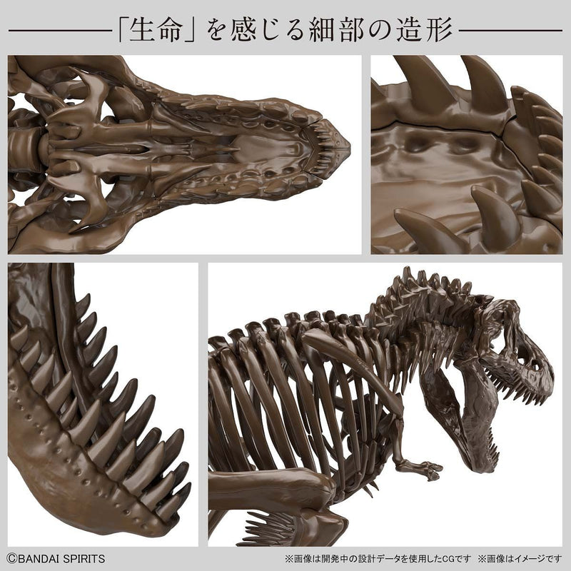 Load image into Gallery viewer, Bandai - Imaginary Skeleton: Tyrannosaurus
