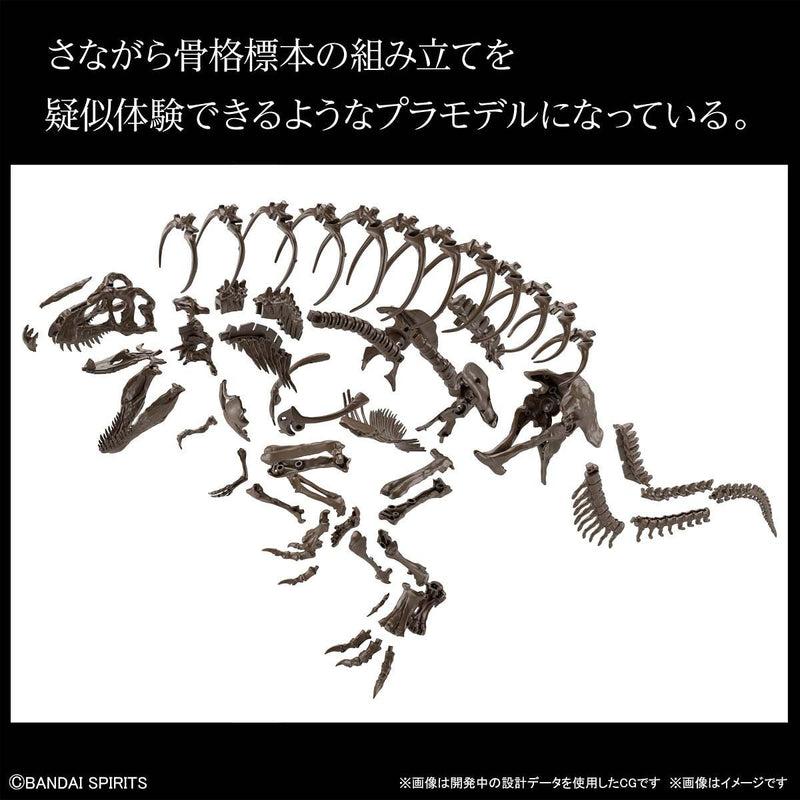 Load image into Gallery viewer, Bandai - Imaginary Skeleton: Tyrannosaurus
