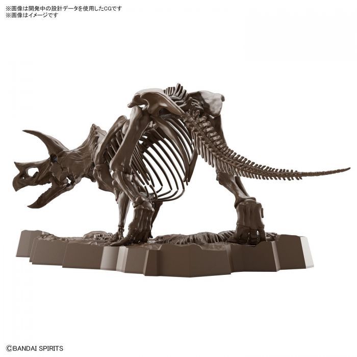 Load image into Gallery viewer, Bandai - Imaginary Skeleton: Triceratops
