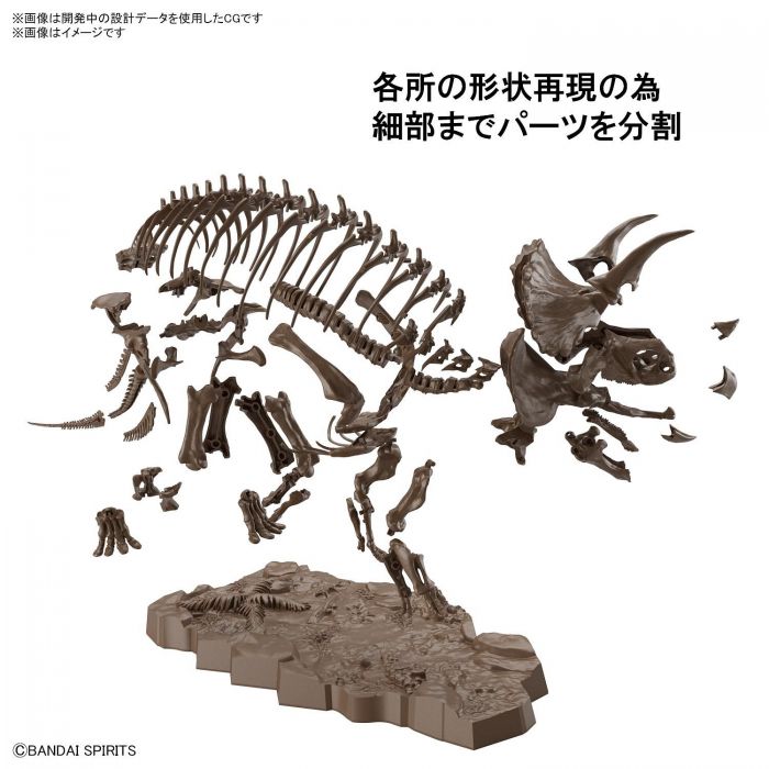 Load image into Gallery viewer, Bandai - Imaginary Skeleton: Triceratops
