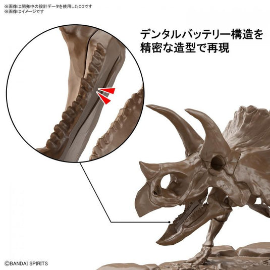 Bandai - Imaginary Skeleton: Triceratops