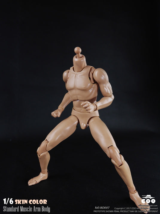 COO Model - Standard Muscle Arm Body - Tall