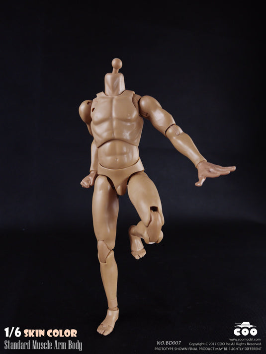 COO Model - Standard Muscle Arm Body