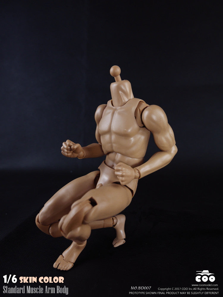 Load image into Gallery viewer, COO Model - Standard Muscle Arm Body - Tall
