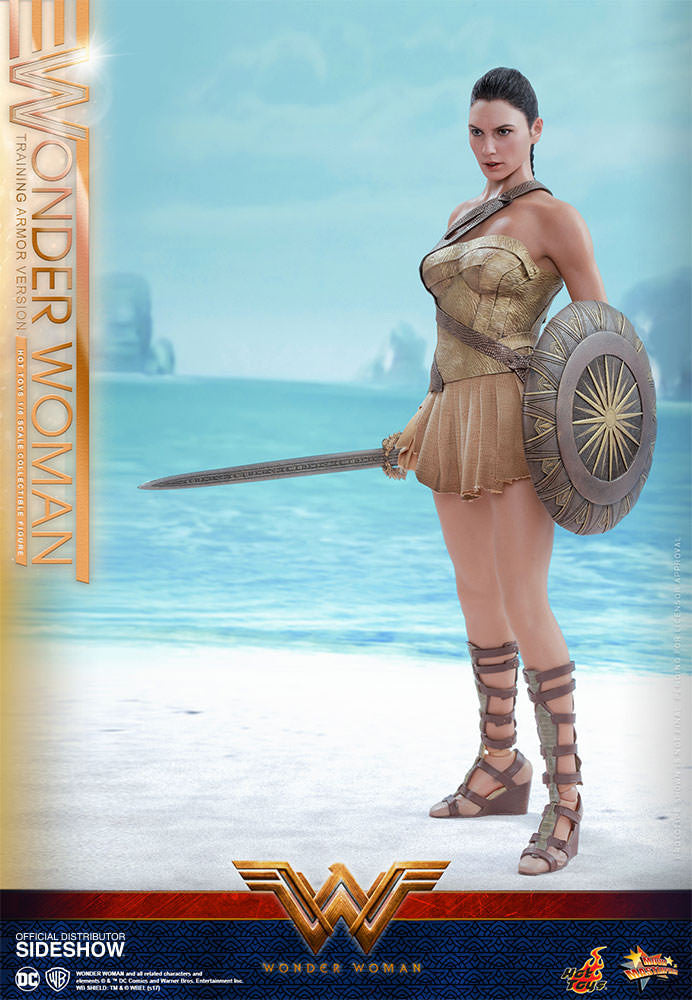 Load image into Gallery viewer, Hot Toys - Wonder Woman Training Armor Version
