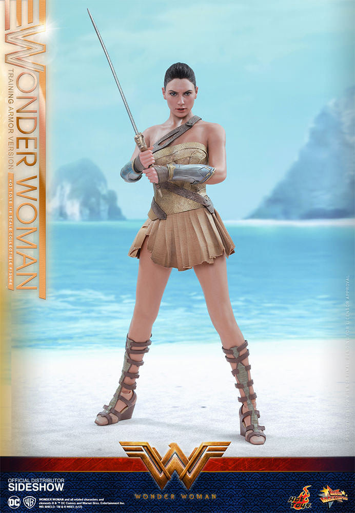 Load image into Gallery viewer, Hot Toys - Wonder Woman Training Armor Version
