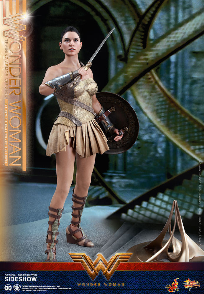 Load image into Gallery viewer, Hot Toys - Wonder Woman Training Armor Version
