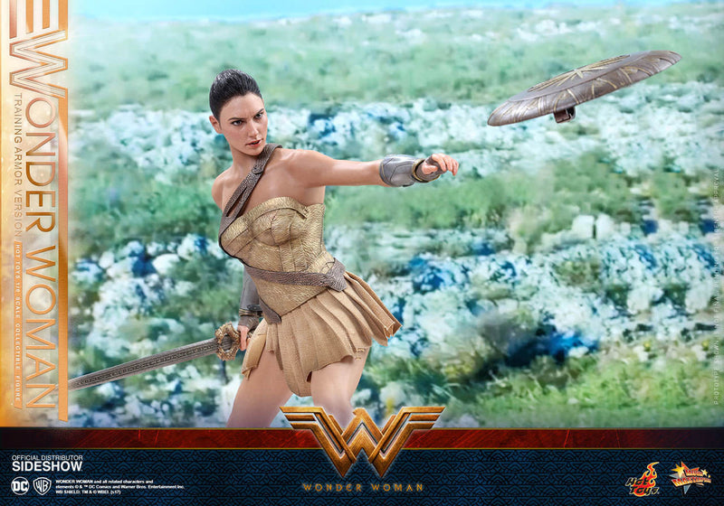 Load image into Gallery viewer, Hot Toys - Wonder Woman Training Armor Version
