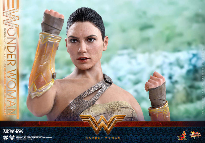 Load image into Gallery viewer, Hot Toys - Wonder Woman Training Armor Version
