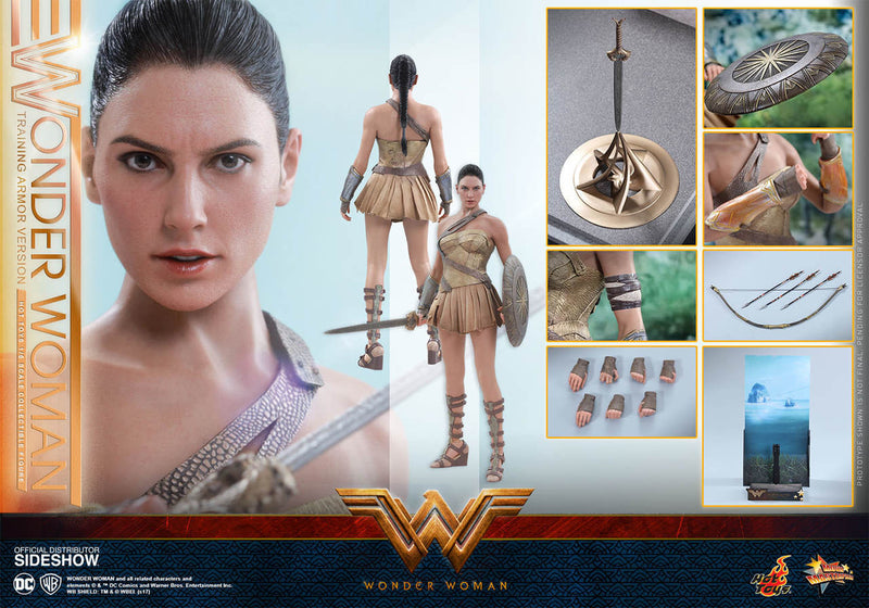 Load image into Gallery viewer, Hot Toys - Wonder Woman Training Armor Version
