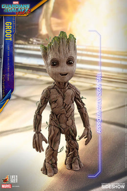 Hot Toys - Guardians of the Galaxy Vol 2 - Groot