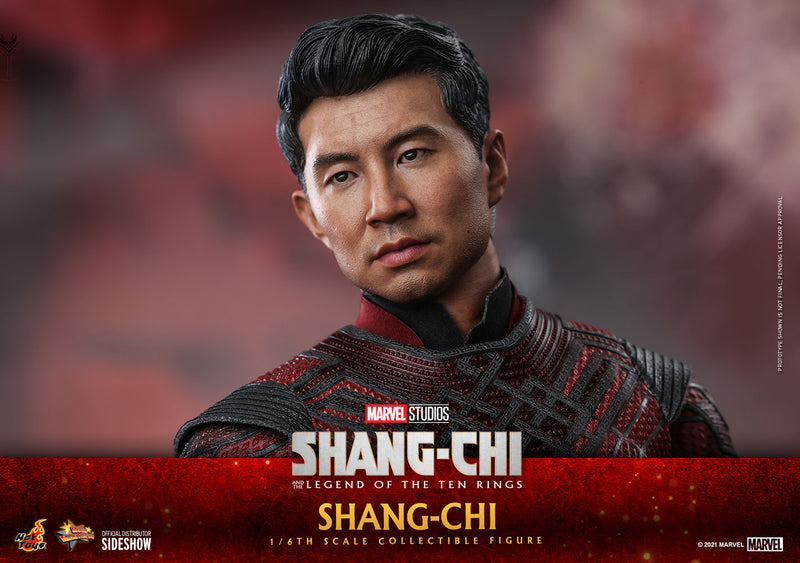 Load image into Gallery viewer, Hot Toys - Shang-Chi: Shang-Chi
