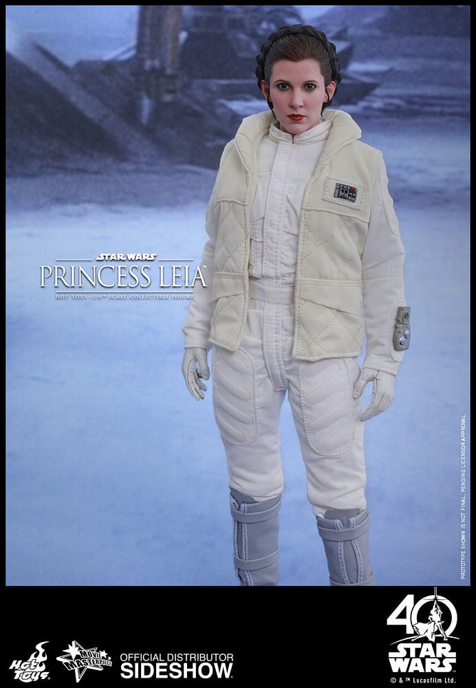 Load image into Gallery viewer, Hot Toys - Episode V: The Empire Strikes Back - Princess Leia
