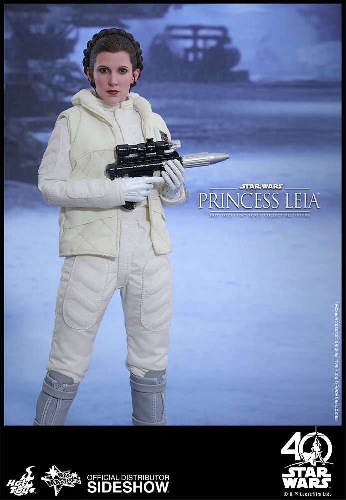 Load image into Gallery viewer, Hot Toys - Episode V: The Empire Strikes Back - Princess Leia
