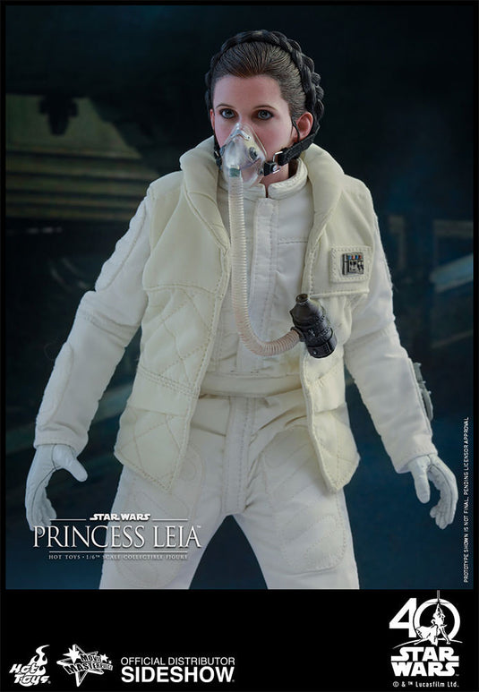 Hot Toys - Episode V: The Empire Strikes Back - Princess Leia