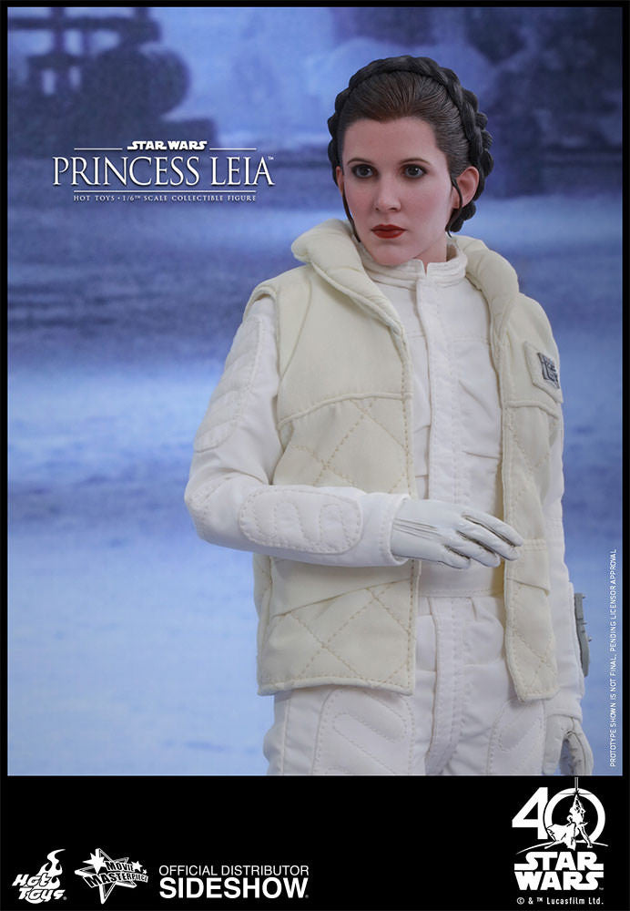 Load image into Gallery viewer, Hot Toys - Episode V: The Empire Strikes Back - Princess Leia
