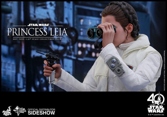 Hot Toys - Episode V: The Empire Strikes Back - Princess Leia