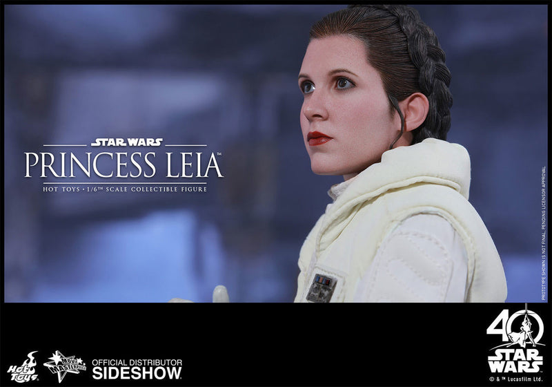 Load image into Gallery viewer, Hot Toys - Episode V: The Empire Strikes Back - Princess Leia
