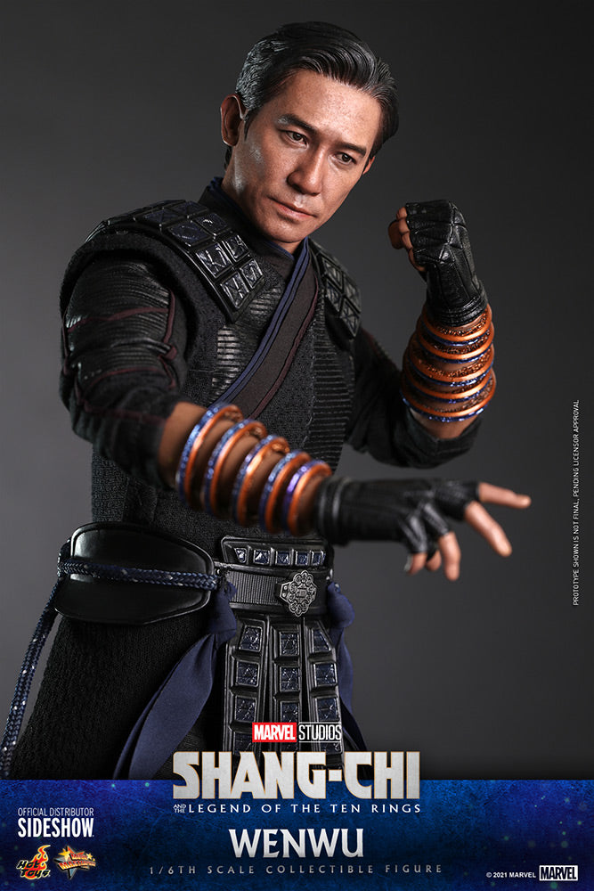 Load image into Gallery viewer, Hot Toys - Shang-Chi: Wenwu
